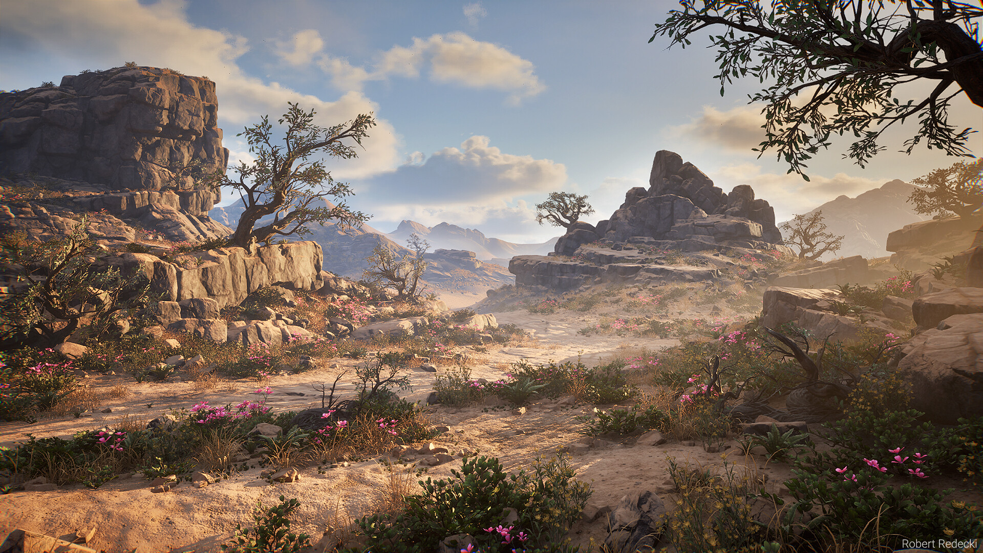 robert-redecki-robert-redecki-desert-01a