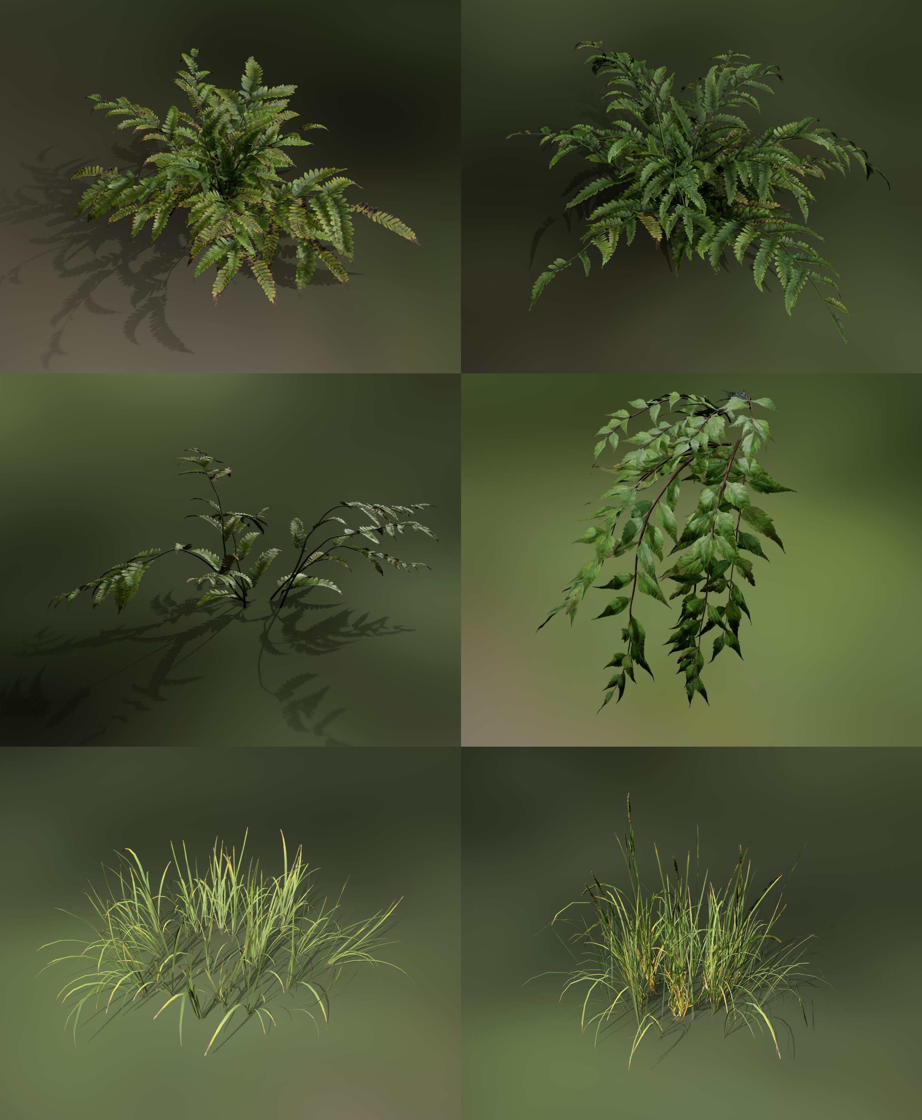 Speedtree中制作小灌木